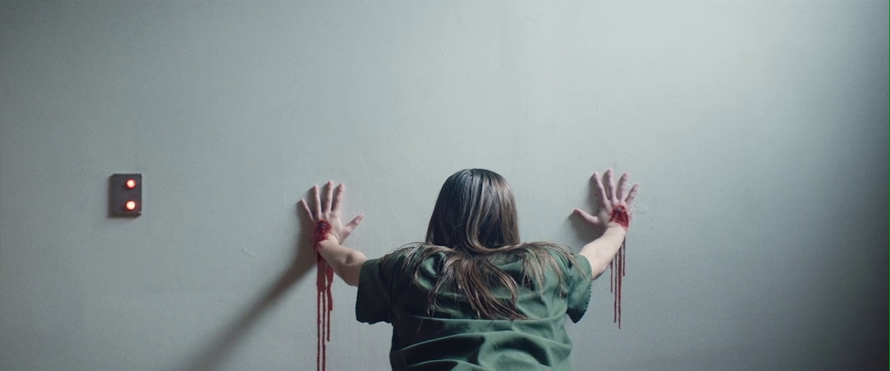 1BR (2019)