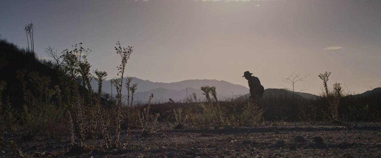 Bone Tomahawk (2015)