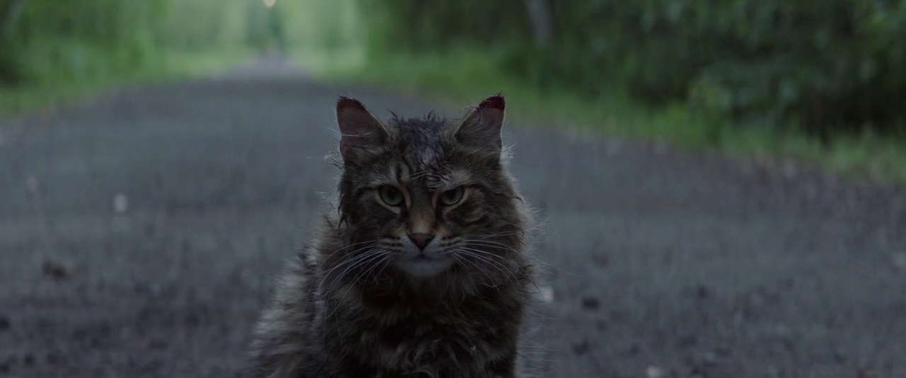 Pet Sematary (2019)