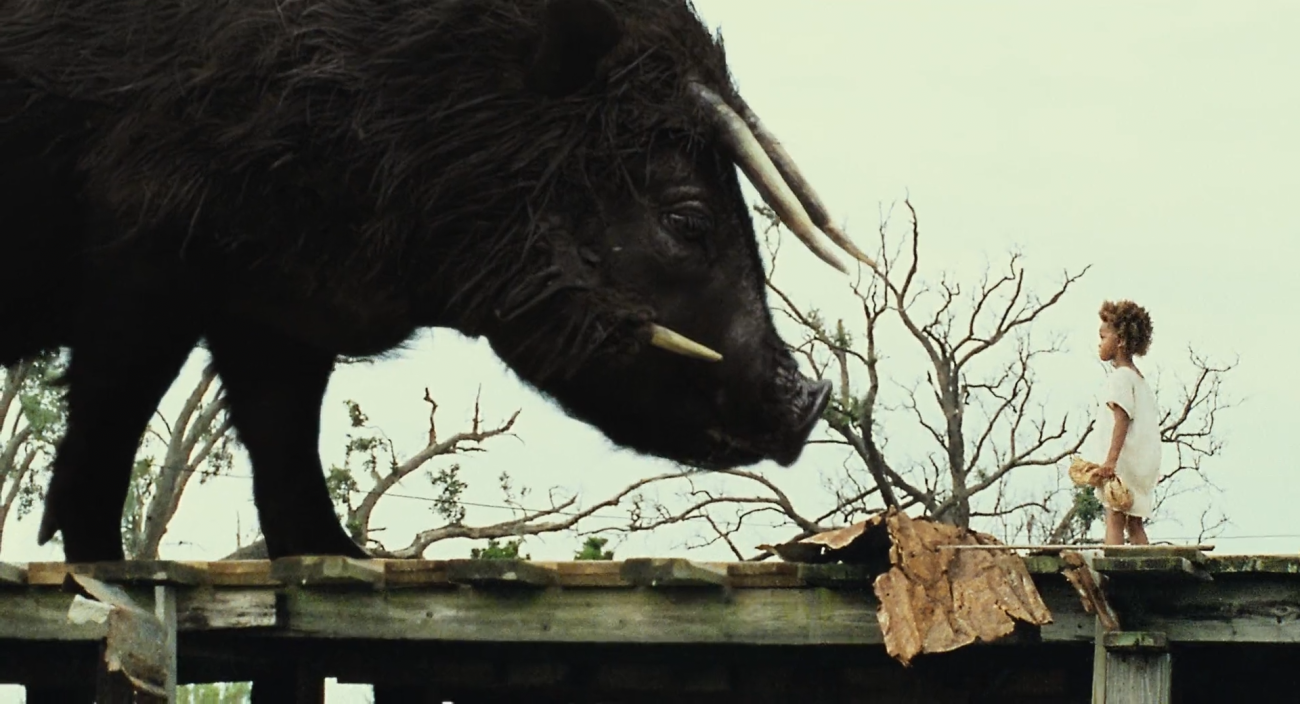 Beasts of the Southern Wild (2012)