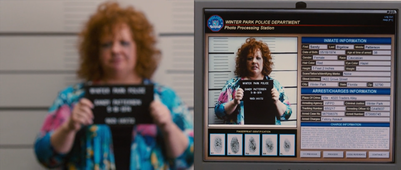 Identity Thief (2013)