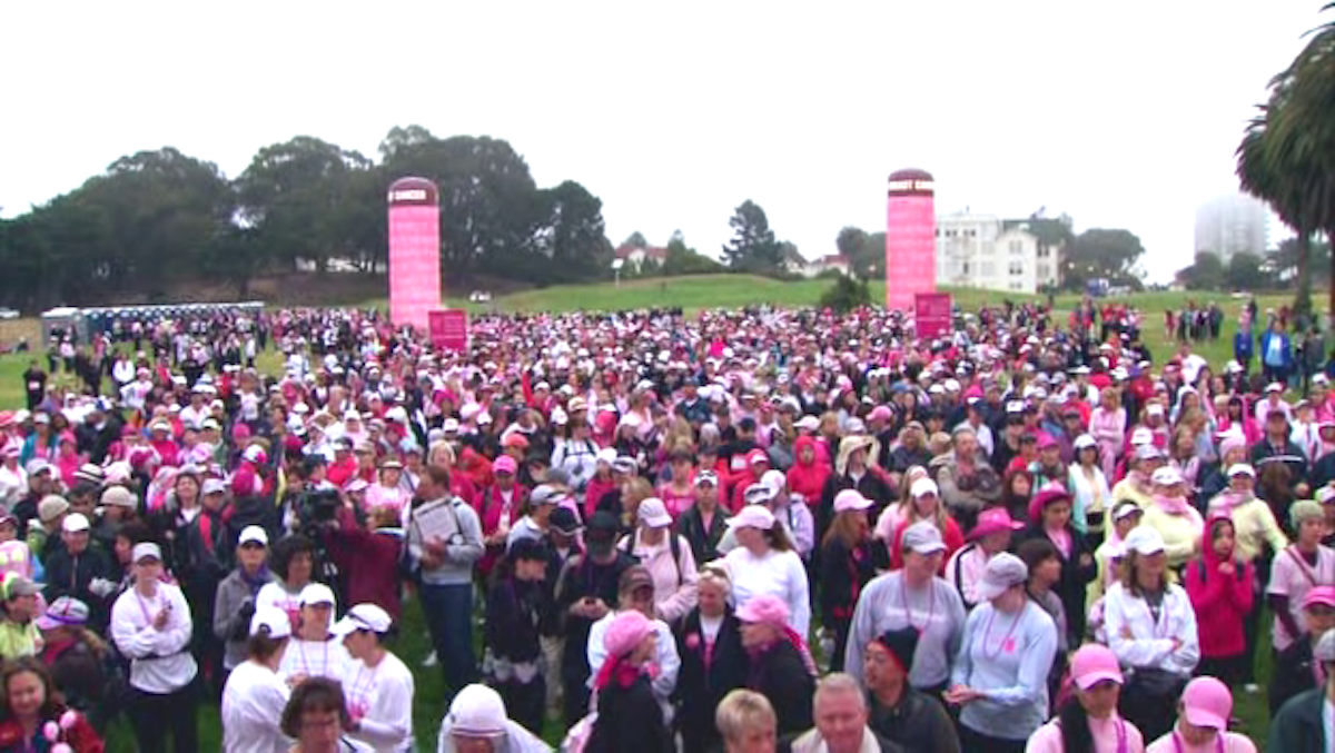 Pink Ribbons, Inc. (2011)