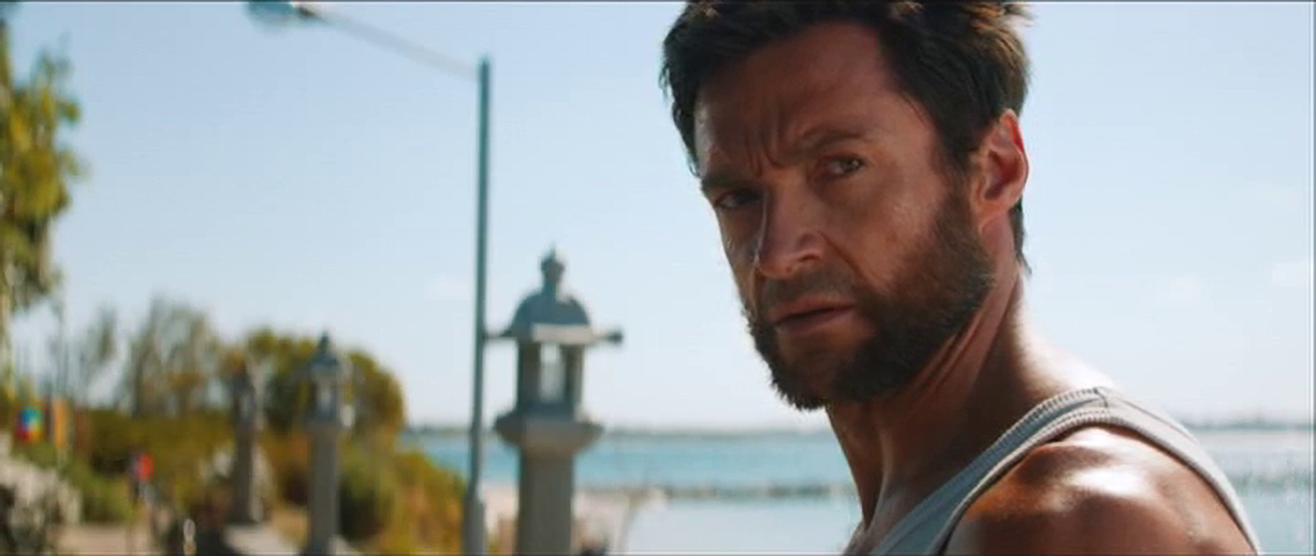 The Wolverine (2013)