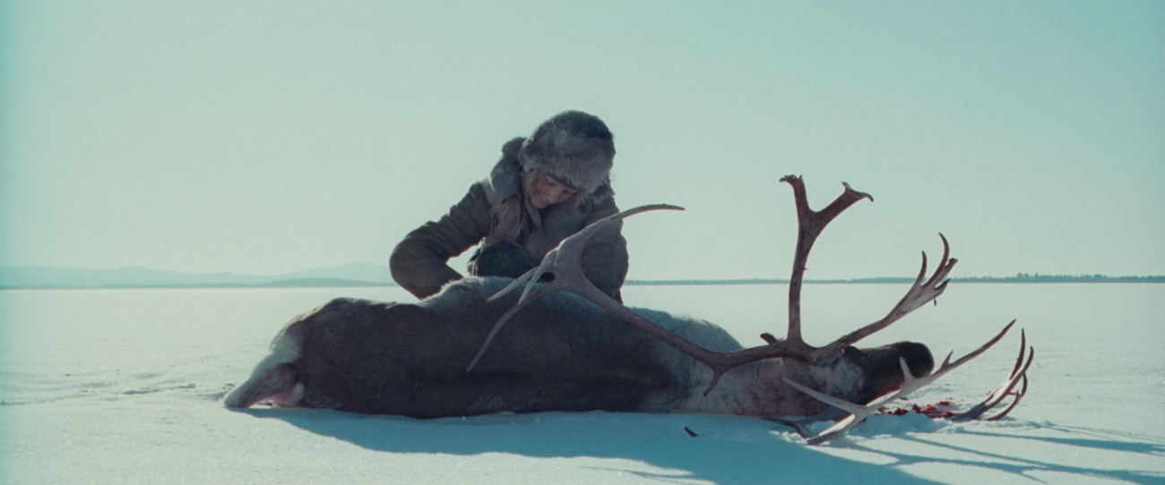 Hanna (2011)