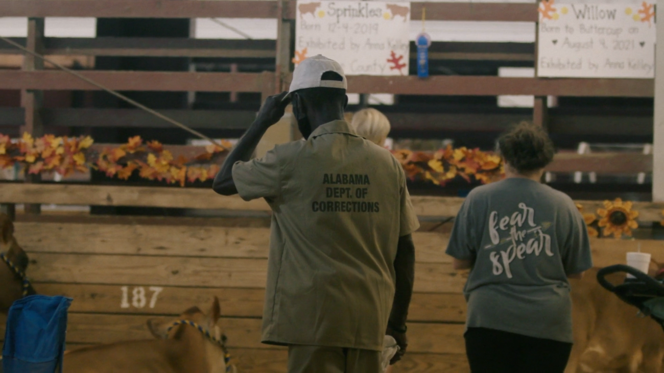 The Alabama Solution (2025)