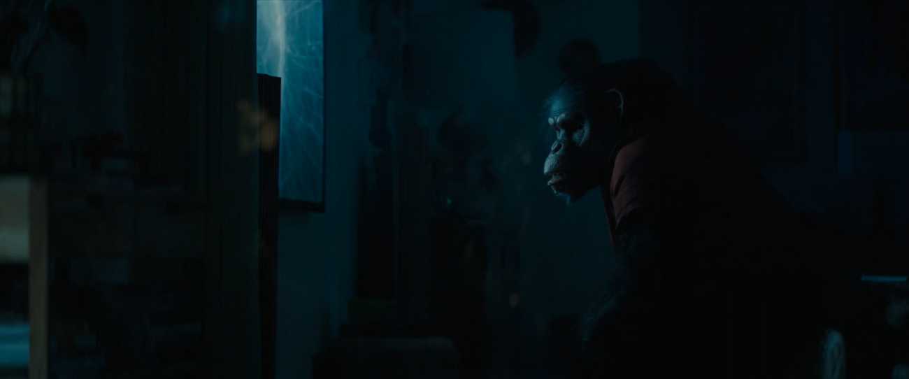 Primate (2025)