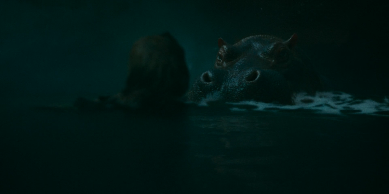 Hungry (2026)